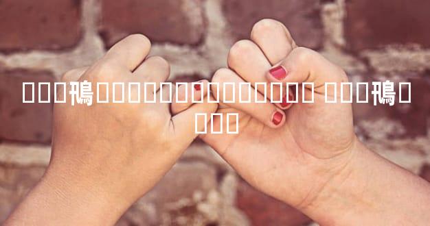 ���鳵�������˰���˾�� ���鳵����